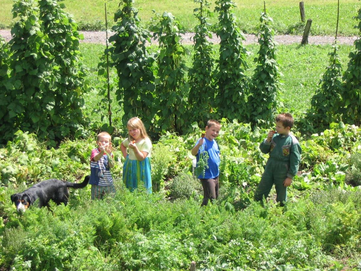 Вилла Tourist Farm Mulej Блед Экстерьер фото